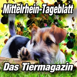 Mittelrhein-Tageblatt - Top-News24 - Tiermagazin -