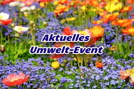 Aktuelles Umwelt-Event -