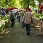 Auf gehts zum Wochenmarkt -