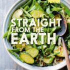 Goodman_StraightFromTheEarth_Cover