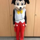 pol-ppwp-micky-maus-nach-ladendiebstahl-verhaftet