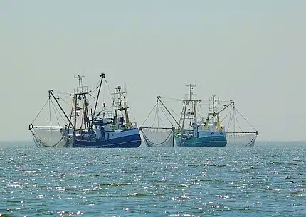 fischfangquoten-aktuell