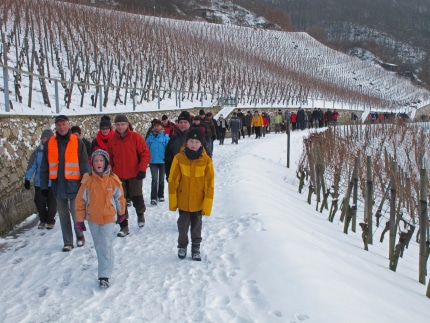 gruppe-im-schnee-im-weinlehrpfad