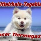 mittelrhein-tageblatt-tiermagazin