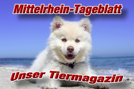 mittelrhein-tageblatt-tiermagazin