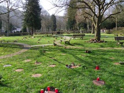 170111_auf_ruheparkflaechen_ist_kein_grabschmuck_erlaubt-foto