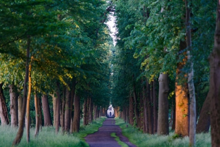 Evenburgallee am Abend