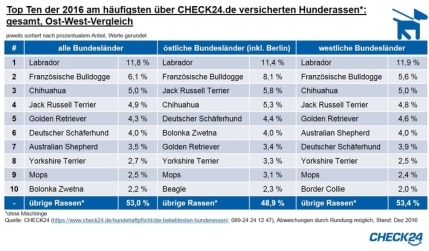 hundehaftpflichtversicherung-labrador-beliebteste-hunderasse-2016