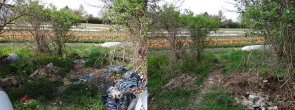 05042017_Bilder_zu_PM_Bilanz_DWTag_Dahlheimer_Weg_vorher_nachher_Bilder_EB_Mainz