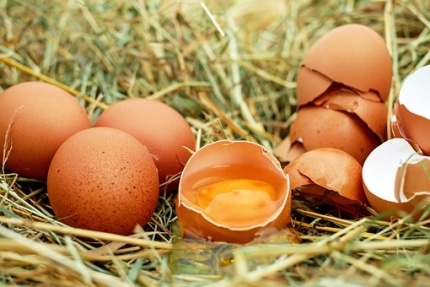 Eier aus dem Regal -