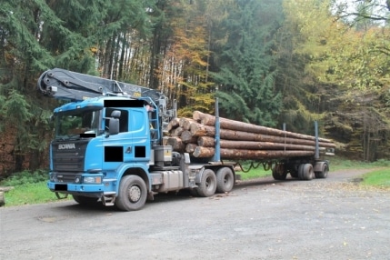 langholztransporter-erheblich-ueberladen