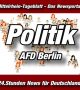 Berlin - Politik: Gemeinsame Erklärung von Alexander Gauland, Jörg Meuthen, Alice Weidel und weiteren Afd-Politikern