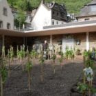 Weinberg 4