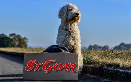 Reisen - Gute Angebote für den Urlaub mit Hund in Rheinland-Pfalz 1 Hundeurlaub