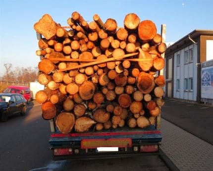 HolztransportA-64vonhinten