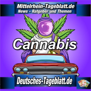 Cannabis wird legal: Bundesrat macht Weg frei für moderne Drogenpolitik