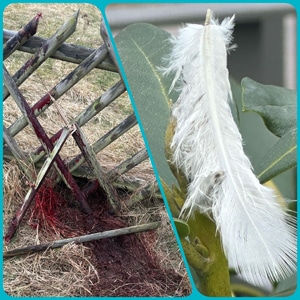 Kein Frieden ohne Opfer (c) Manuela Engel-Dahan