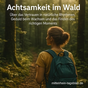 Mittelrhein-Tageblatt-Deutsches-Tageblatt-Achtsamkeit-im-Wald