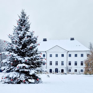 5-Sterne Hotel schlossgut gross schwansee